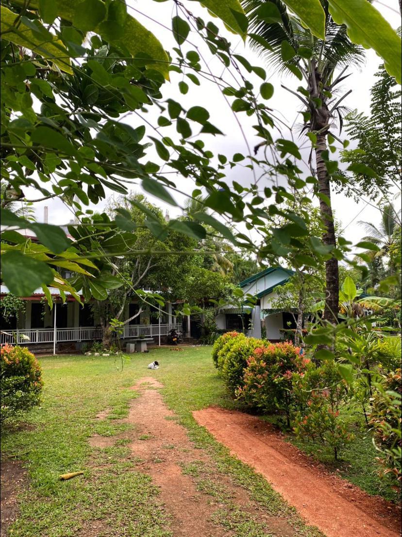 Coconut Grove - Midigama Hotel Kültér fotó