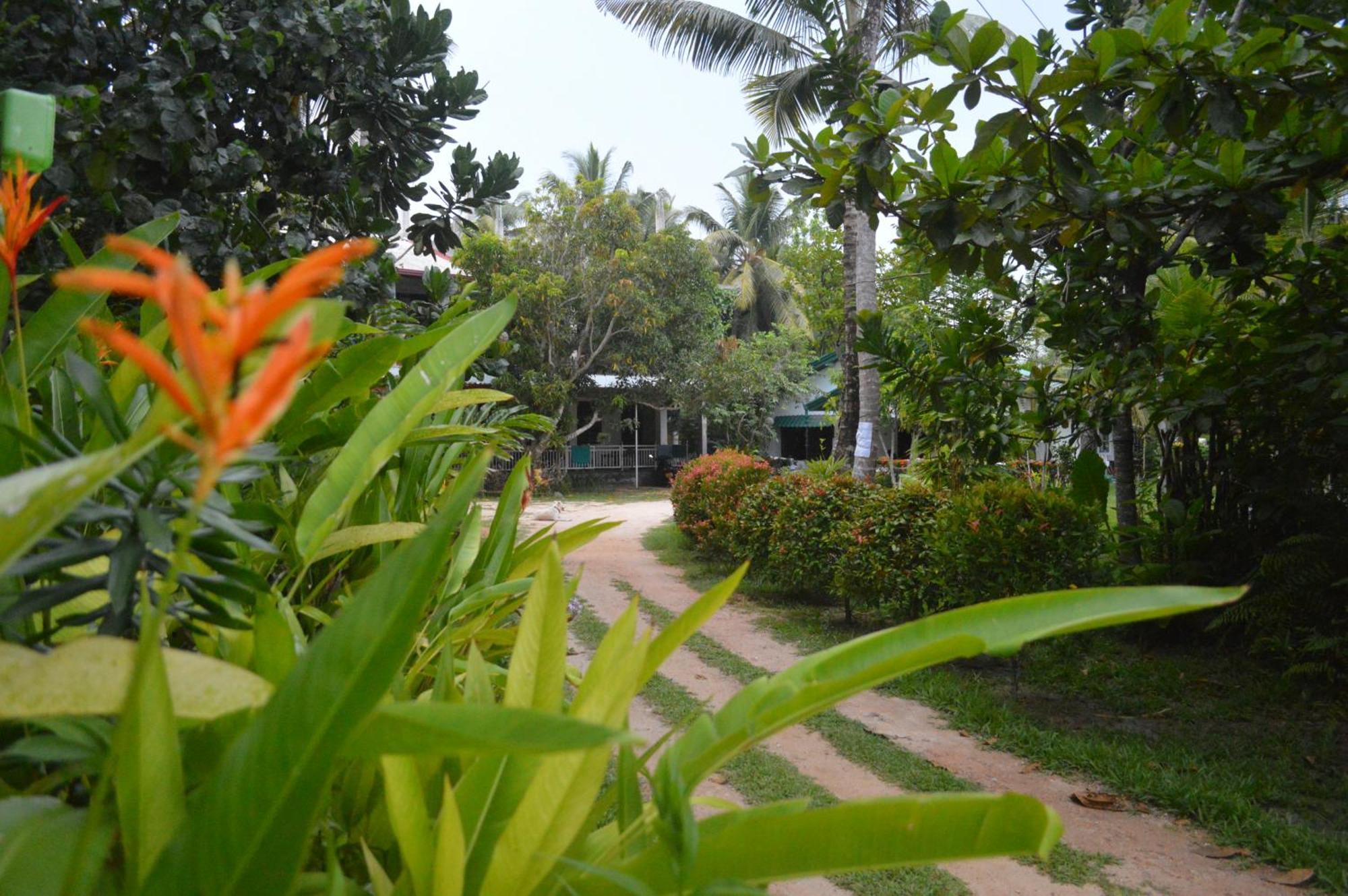 Coconut Grove - Midigama Hotel Kültér fotó