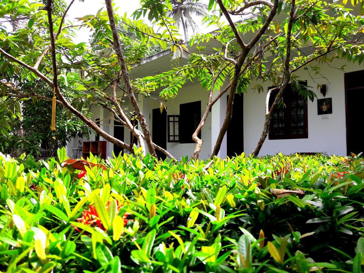 Coconut Grove - Midigama Hotel Kültér fotó