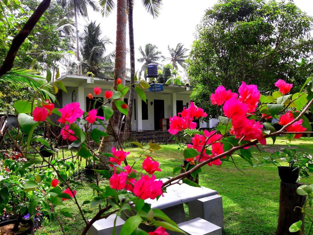 Coconut Grove - Midigama Hotel Kültér fotó